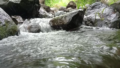 Clear Mountain River Flow Over Rocks in Forest | Natural Stream Water Stock Footage 330561322