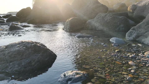 Clear mountain river flowing among rocks in wild. Many stones are near clear Stock Footage 325070361