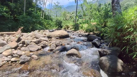 "Clear Mountain River Flowing with Fresh Water – 4K Nature Footage" Stock Footage 317943583