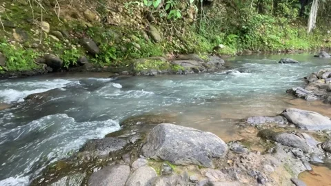 Clear Mountain River Flowing Rapidly Through Boulders Stock Footage 296523599