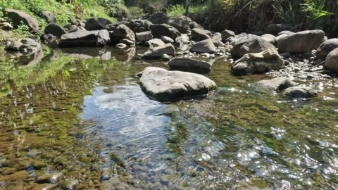 A clear mountain river flowing in summer Video stock 321322983