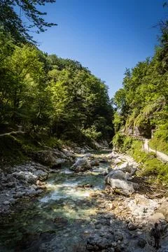 Clear mountain river flowing through Vintgar Gorge in summer, Slovenia Fotos de archivo