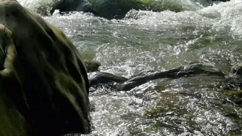 A clear mountain river flows rapidly through river rocks Video stock 320922987