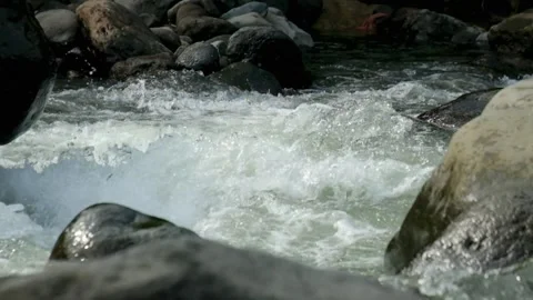 A clear mountain river flows rapidly through river rocks Stock Footage 320922992