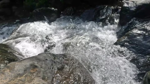 The clear mountain river flows rapidly through a rocky cascade Stock Footage 321265561
