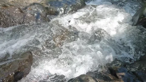 The clear mountain river flows rapidly through a rocky cascade Stock Footage 321265687