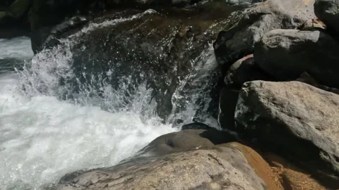 The clear mountain river flows rapidly through a rocky cascade Stock Footage 321265715