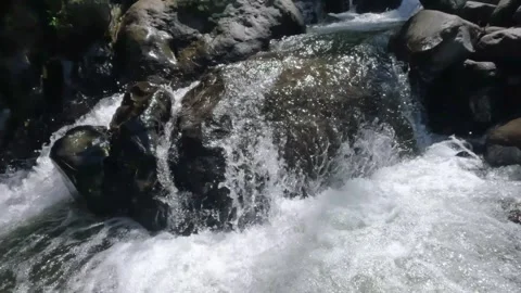 The clear mountain river flows rapidly through a rocky cascade Stock Footage 321265729