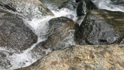 The clear mountain river flows rapidly through a rocky cascade Stock Footage 321265842