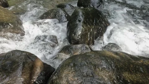 The clear mountain river flows rapidly through a rocky cascade Stock Footage 321265994