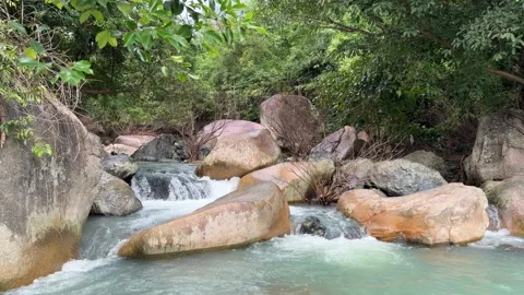 A clear mountain river flows steadily between smooth stones and dense tropical Stock Footage 324712185