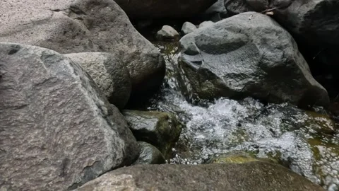 A clear mountain river flows through rocks. Stock Footage 321319040