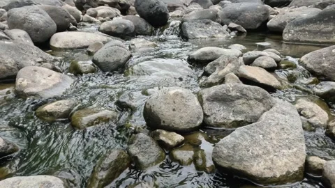 A clear mountain river flows through rocks Stock Footage 321319073
