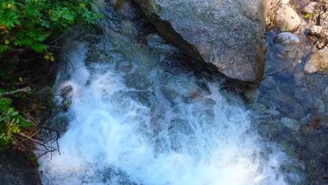 Clear mountain river foaming among rocks and vegetation. Stock Footage 166238593
