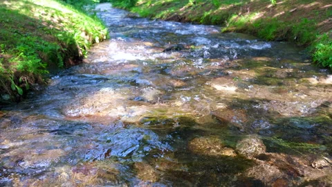 Clear mountain river foaming among rocks and vegetation. Stock Footage 166241956