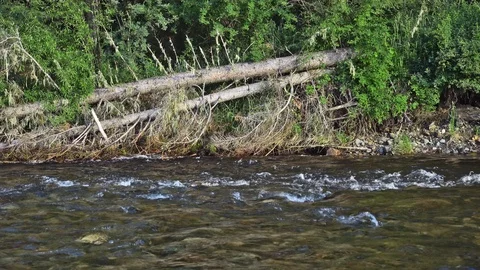 Clear mountain river Stock Footage 99851418