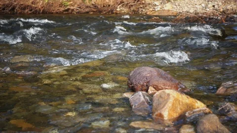Clear mountain river Видео 100263498