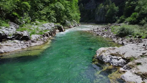 A clear mountain river in a gorge Stock Footage 208185951