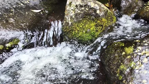 A clear mountain river rushes over mossy boulders Stock Footage 328798466