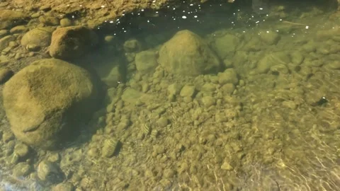 A clear mountain river with small fish Stock Footage 321860031