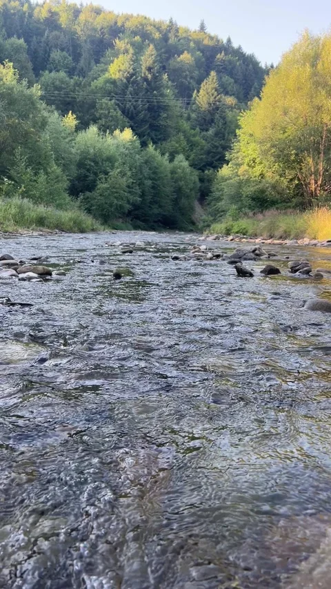 Clear mountain river stream with natural audio rushing sound 4K vertical Stock Footage 341853500
