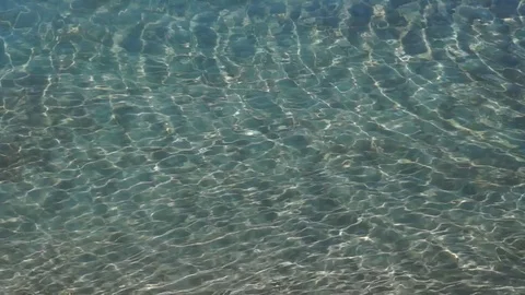 Clear mountain river with sun speckles on water Stock Footage 76641054