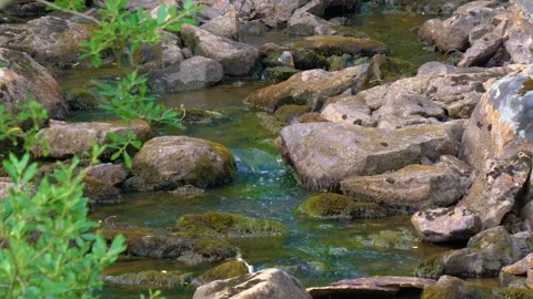 Clear mountain river water flowing over mossy rocks in the Southern Urals, Russi Video stock 325377312