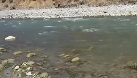 Clear mountain river water flowing over rocky bed in natural landscape Stock Footage 333613433