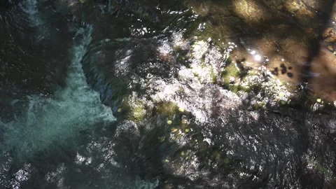 Clear mountain river water streaming in nature 動画素材 337036151
