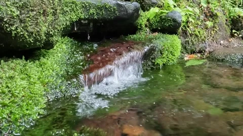 Clear mountain spring water flowing from spring source Stock Footage 245049877
