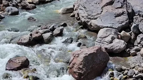 Clear Mountain Stream Among Rocks in Summer Nature Stock Footage 331065687