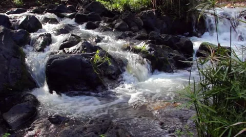 Clear Mountain stream and waterfall Stock Footage 4238026