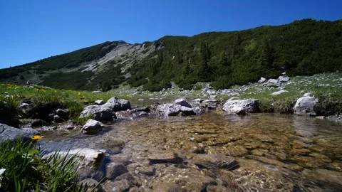 Clear mountain stream in Austrian alps Stock Footage 145808150
