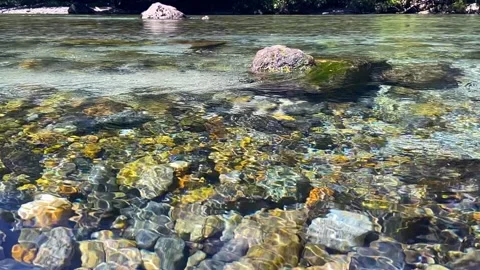 Clear Mountain Stream with Colorful Pebbles Visible Through Crystal Water Stock Footage 332839240