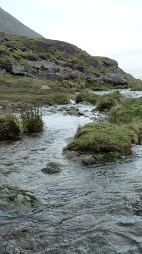 A clear mountain stream flowing amid rocky surroundings Stock Footage 253581985