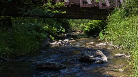Clear Mountain Stream Flowing Beneath Wooden Bridge in Forest Photos