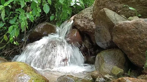 Clear Mountain Stream Flowing Between Rocks in Tropical Forest Stock Footage 329779609