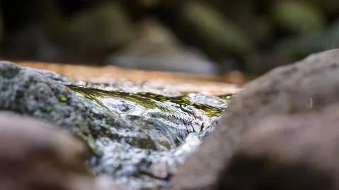 Clear Mountain Stream Flowing Between Natural Rocks Stock Photos