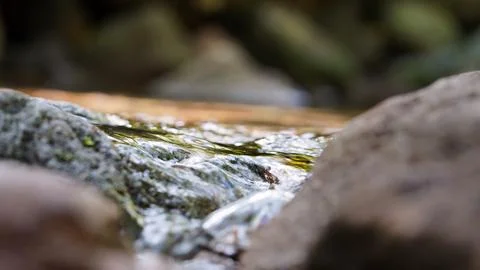 Clear Mountain Stream Flowing Between Natural Rocks Stock Photos