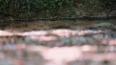 Clear Mountain Stream Flowing Between Natural Rocks Stock Photos
