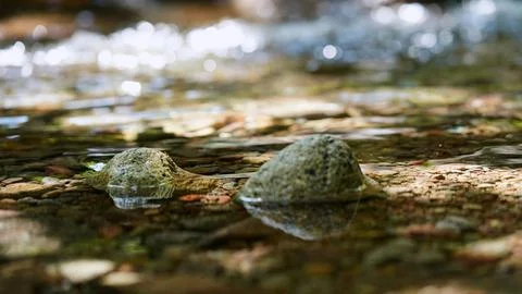 Clear Mountain Stream Flowing Between Natural Rocks Stock Photos