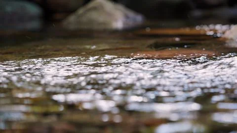 Clear Mountain Stream Flowing Between Natural Rocks Stock Photos