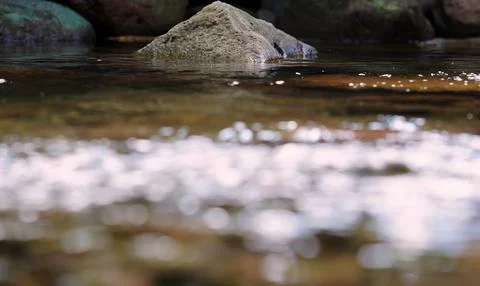 Clear Mountain Stream Flowing Between Natural Rocks Stock Photos