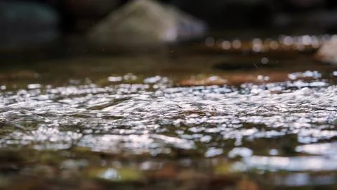 Clear Mountain Stream Flowing Between Natural Rocks Stock Photos