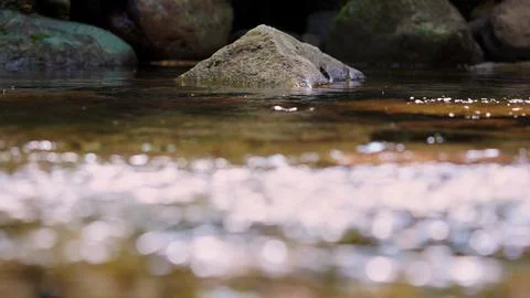 Clear Mountain Stream Flowing Between Natural Rocks Stock Photos