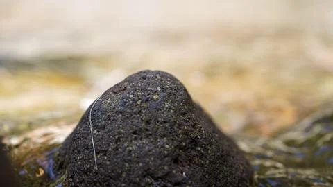 Clear Mountain Stream Flowing Between Natural Rocks Stock Photos