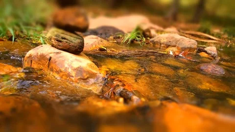 A clear mountain stream flowing over a rock formation in the woods. Stock Footage 88629259
