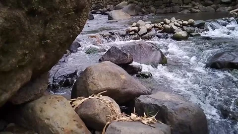 Clear Mountain Stream Flowing Over Rocks in Natural Forest Stock Footage 312648146