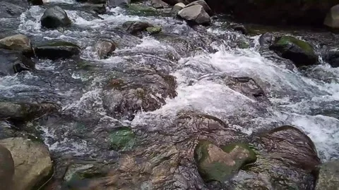 Clear Mountain Stream Flowing Over Rocks in Natural Forest Stock Footage 312648448