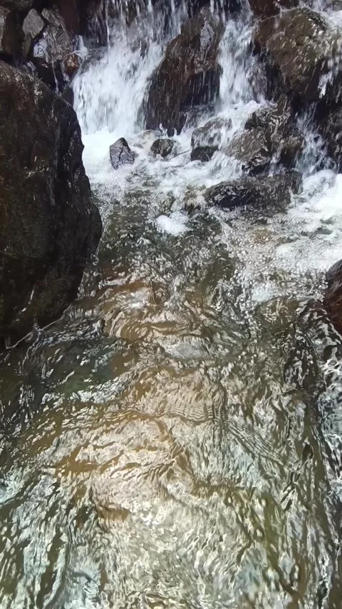Clear Mountain Stream Flowing Over Rocks in Tropical Forest 動画素材 318045672